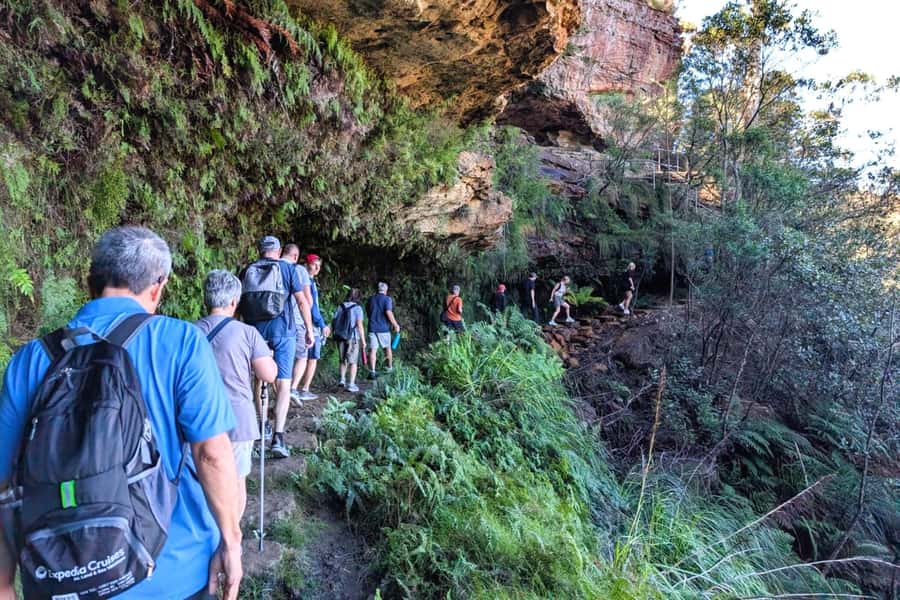 Sydney: Waterfall Bushwalk and Blue Mountain Sunset Day Trip - Five things to know before booking