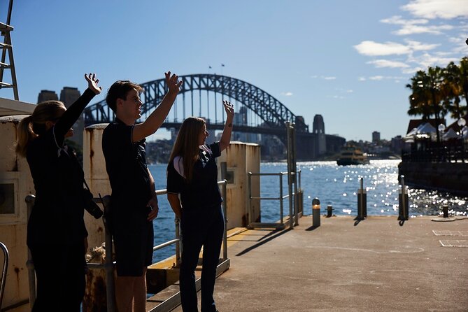 Sydney Whale-Watching Cruise Including Lunch or Breakfast - Is the meal good value?