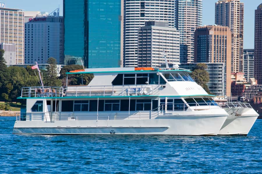 Sydney Whale Watching Cruise with Breakfast or Lunch - Four hours on a working whale boat
