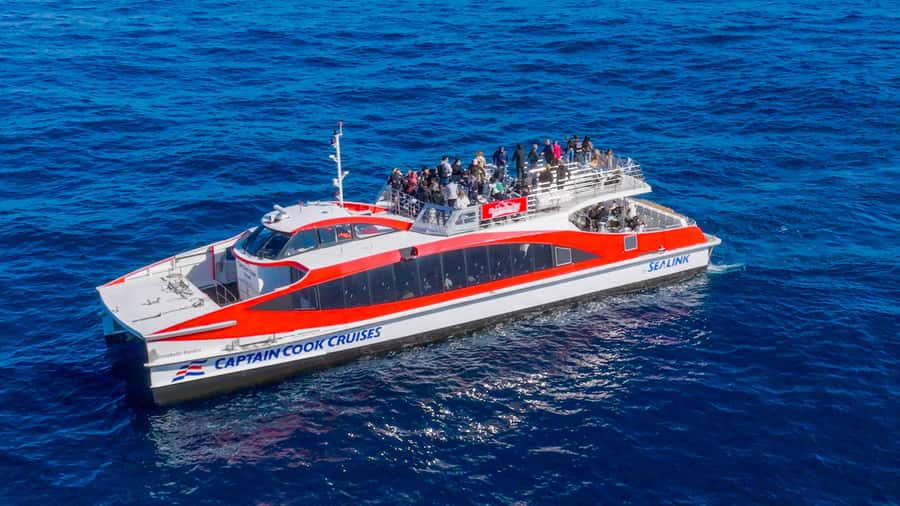 Sydney: Whale Watching & Wildlife Cruise - A whale guarantee with an important condition
