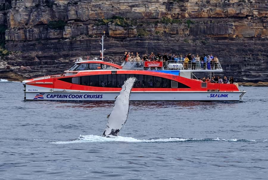 Sydney: Whale Watching & Wildlife Cruise - Who will enjoy this cruise most