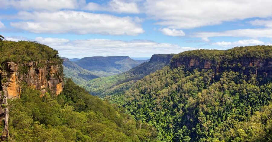 Sydney: Wildlife, Waterfalls and Wine Small Group Tour - What to pack and who should book