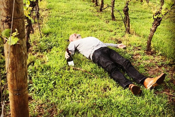 Tamar Valley Wine Tour with Lunch - Wine tasting without the driving problem