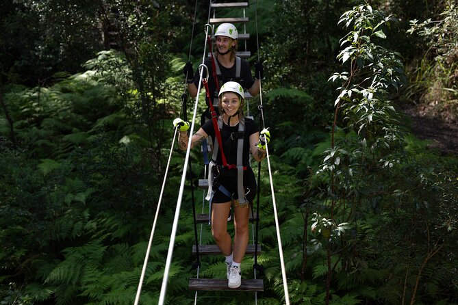 Tamborine Mountain: TreeTop Challenge Adventure Park - Key points before you book