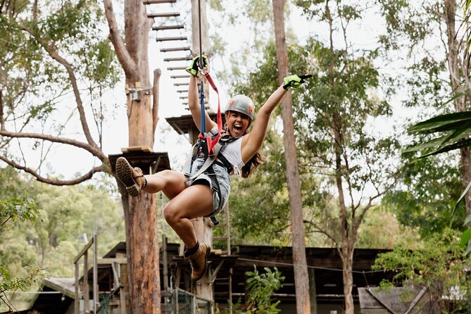 Tamborine Mountain: TreeTop Challenge Adventure Park - Eight courses, from a gentle start to the Black circuit