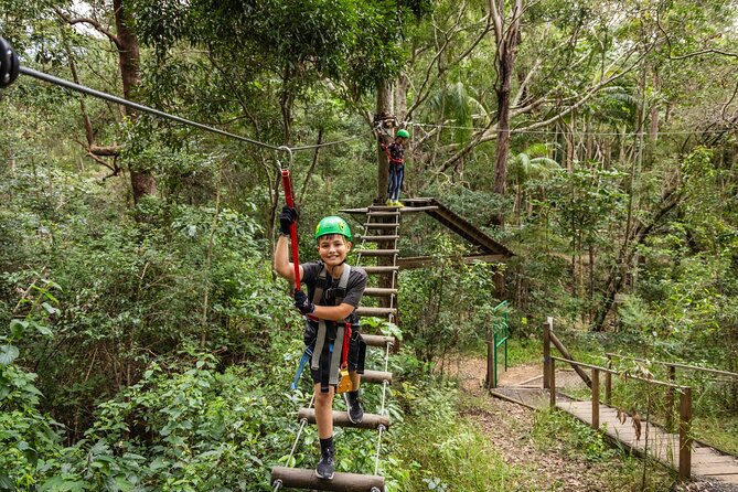 Tamborine Mountain: TreeTop Challenge Adventure Park - A rainforest setting with a workout attached