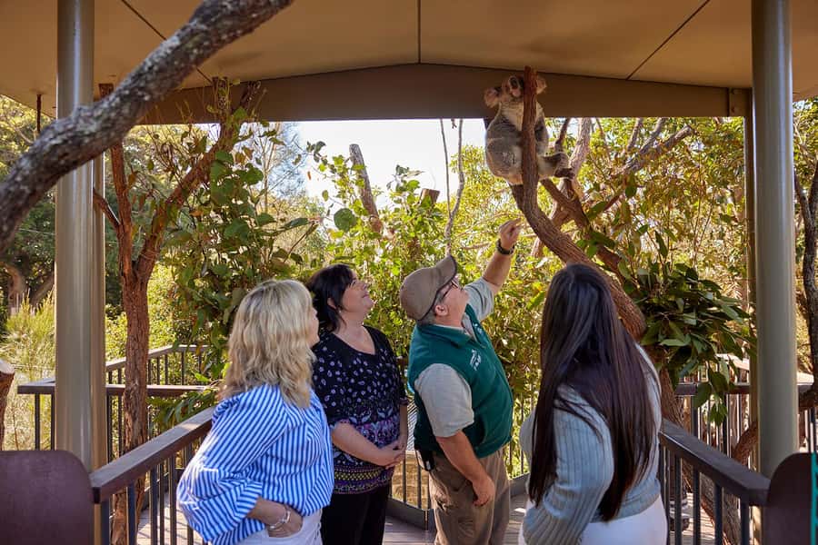 Taronga Zoo Sydney Wild Australia Experience - Australian Nightlife reveals the zoo after dark