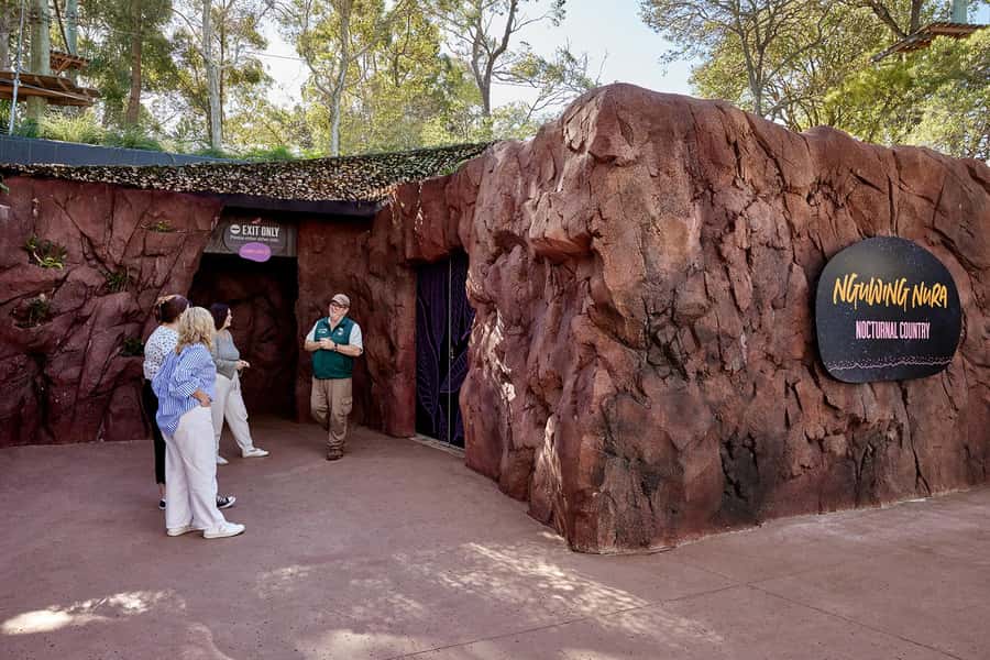 Taronga Zoo Sydney Wild Australia Experience - Feeding emus and wallabies adds a hands-on moment