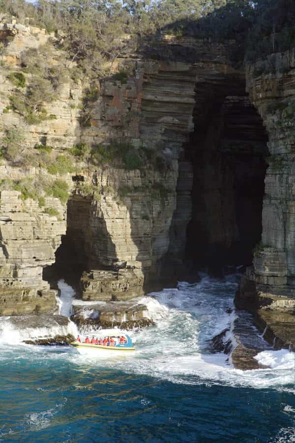 Tasman Peninsula Tour, Cruise & Port Arthur Historic Site - What the boat feels like in real conditions