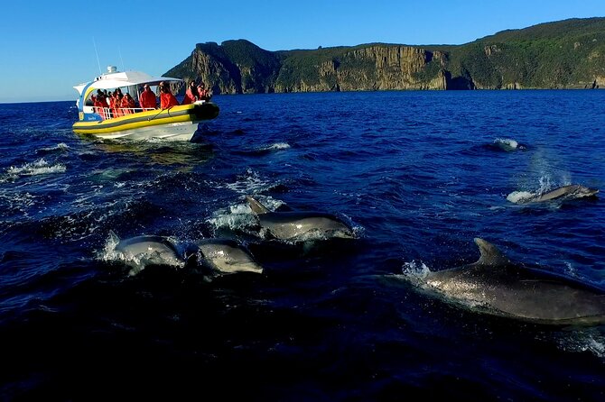 Tasman Peninsula Wilderness Cruise from Port Arthur - Caves, rock formations, and changing coastal views