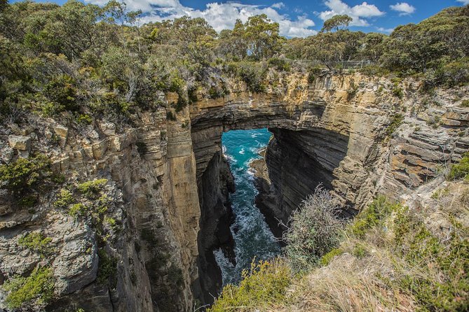 Tasman Peninsula Wilderness Cruise from Port Arthur - How much value do you get for $129.10?