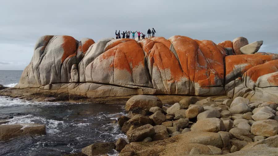 Tasmania: Wilderness and Wildlife Guided 6-Day Tour - Key points to know before booking