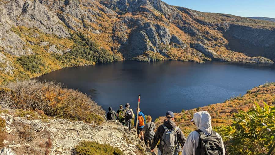Tasmania: Wilderness and Wildlife Guided 6-Day Tour - Why this six-day route works