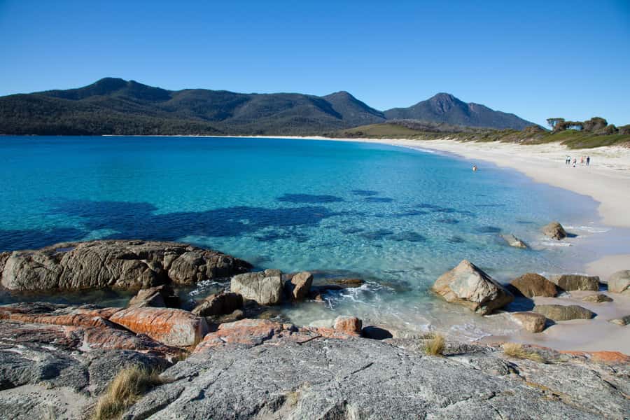 Tasmania: Wilderness and Wildlife Guided 6-Day Tour - Day 2: Sand dunes, rainforest, and Ocean Beach
