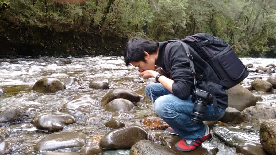 Tasmania: Wilderness and Wildlife Guided 6-Day Tour - Day 6: Tasmanian wildlife, Richmond, and kunanyi