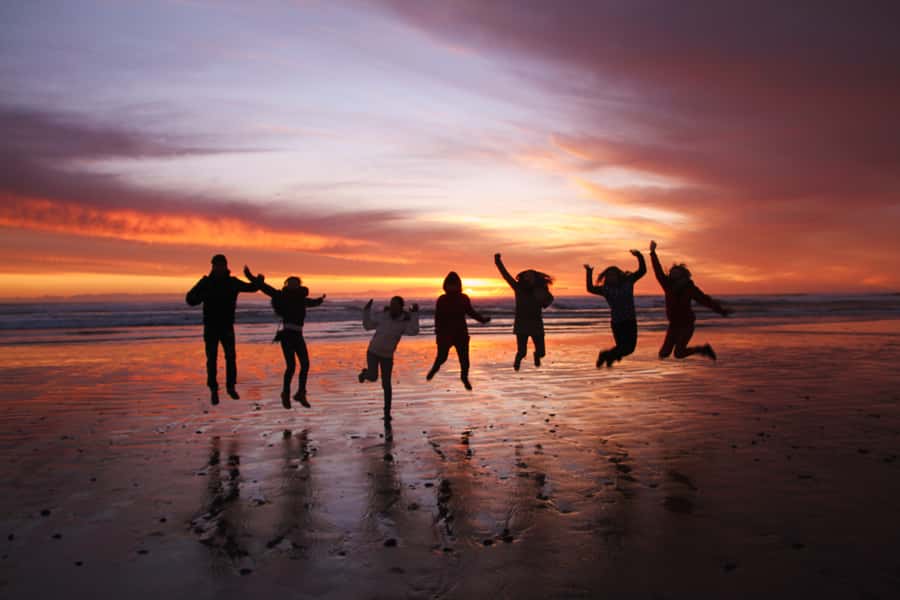 Tasmania: Wilderness and Wildlife Guided 6-Day Tour - What the $831 price really covers