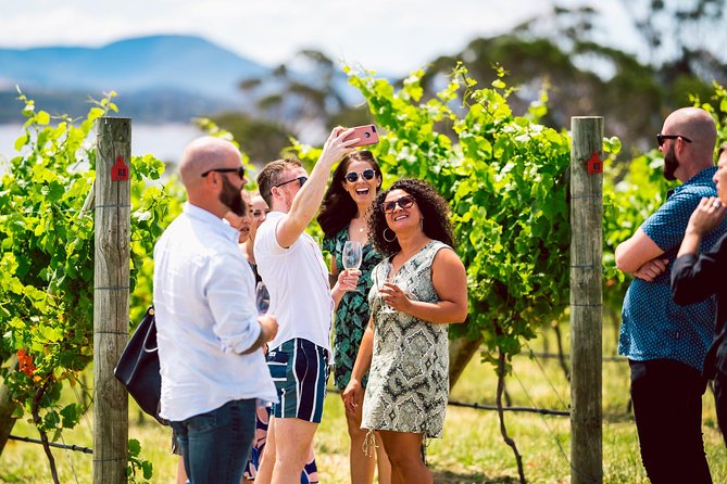 Tasmanian Premium Wine Tour with Tasmanian Cheese Platter - Small groups make the winery stops better