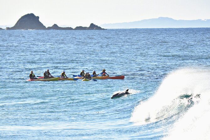 The Byron Bay Sea Kayak Tour - Starting at Clarkes Beach with a beach lesson