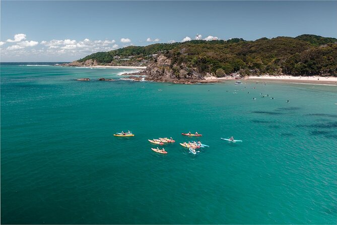 The Byron Bay Sea Kayak Tour - Searching for dolphins, turtles and whales