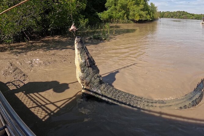 The Croc Bus to the Famous Jumping Crocodile Cruise - Is $93.24 per person good value?