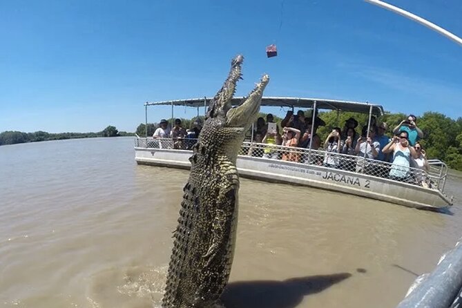 The Croc Bus to the Famous Jumping Crocodile Cruise - Stop one: the boxing crocodile at Humpty Doo