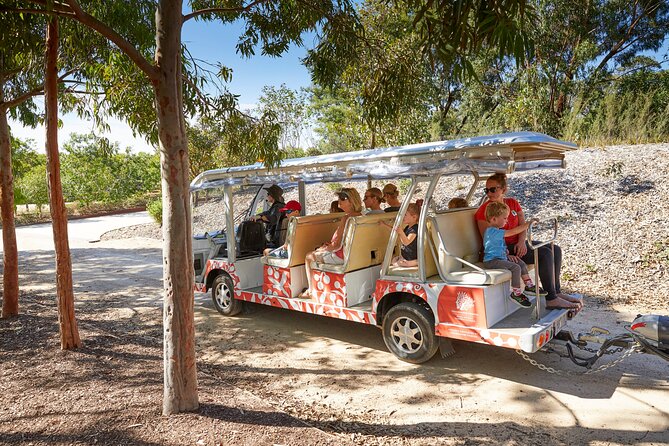 The Explorer - Cranbourne Gardens - Key details before you board