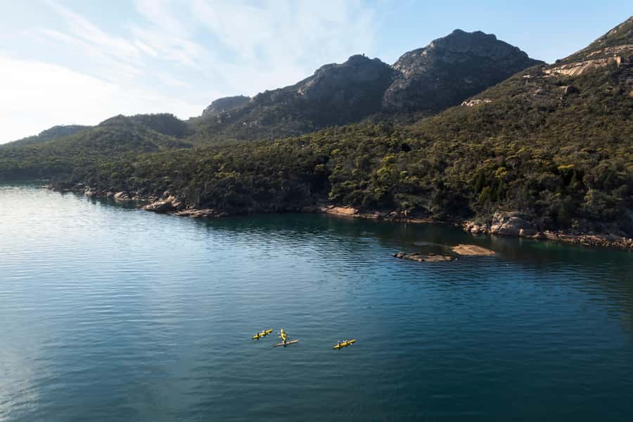 The Freycinet Paddle Kayak Tour - Wildlife without a guarantee