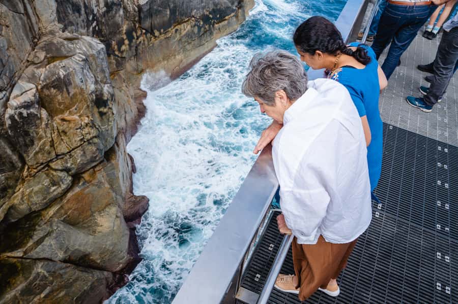 The Gap & Natural Wonders Tour - Stoney Hill puts Albany’s coast in perspective