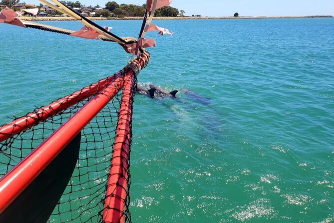 The Pirate Cruise in Mandurah on Viator - Pirate activities that give children a turn