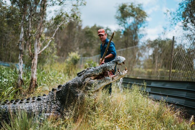 Top End Safari Camp Day Tour - A short helicopter flight with a wide payoff