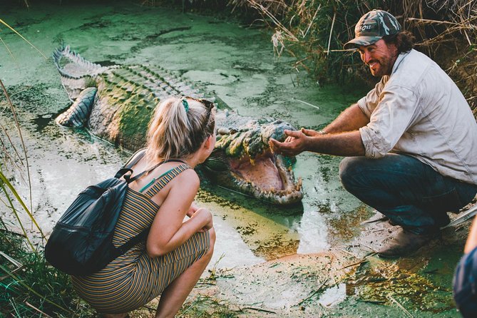 Top End Safari Camp Day Tour - Swimming, drinks, and the end of the day
