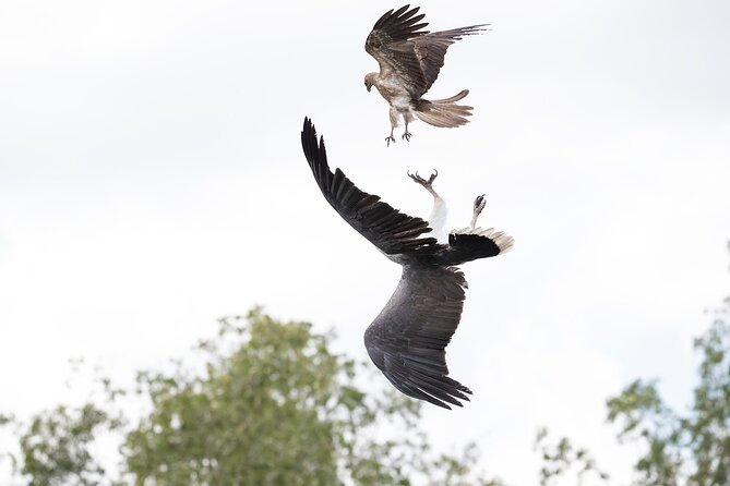 Top End Safari Camp Day Tour - What the day tells you about the Top End