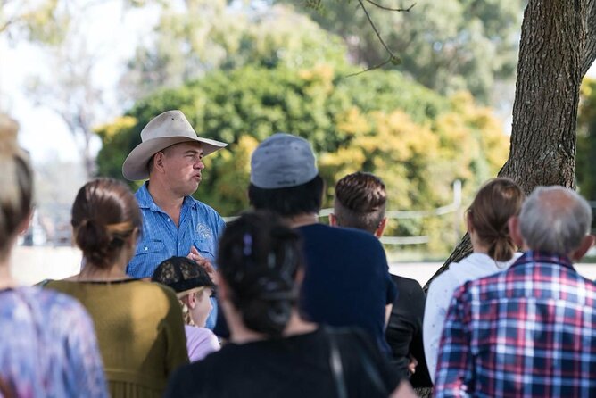 Tour, Taste & Camel Encounter - A working camel farm, not just an animal photo stop