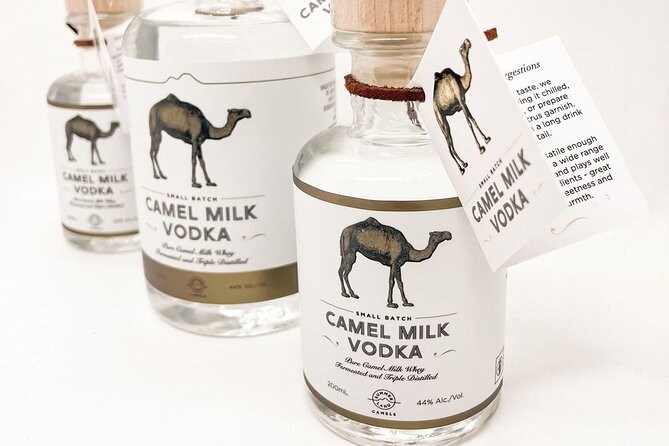 Tour, Taste & Camel Encounter - Weather, cancellation, and practical planning