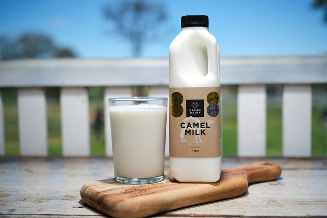 Tour, Taste & Camel Encounter - From camel history to Australian dairy production