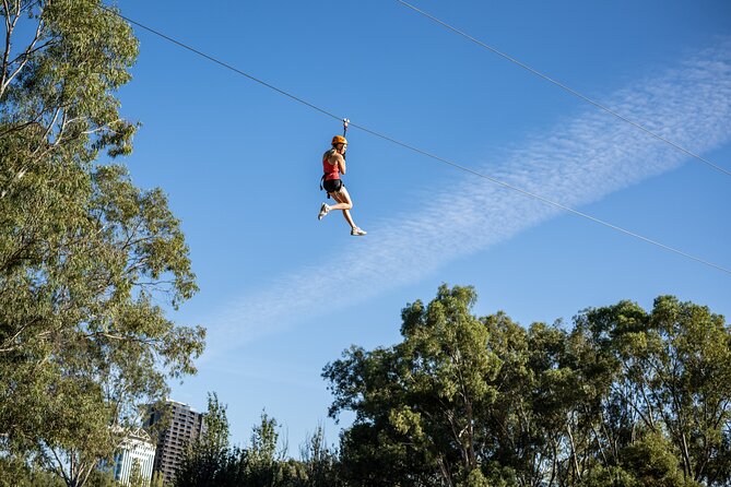 Tree Top Activity for Thrill Seekers and Adventurers in Adelaide - Key points at a glance