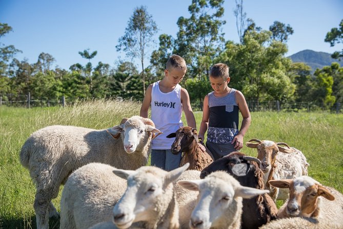Trevena Glen 1hr Animal Tour - Key points to know before you book