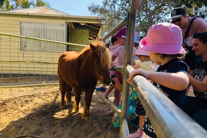 Trevena Glen 1hr Animal Tour - Should you book this Brisbane farm tour?