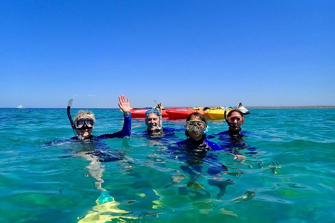 Turtle Tour - Ningaloo Reef Half Day Sea Kayak and Snorkel Tour - Why kayaking is a good way to see Ningaloo Reef