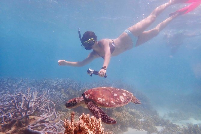 Turtle Tour - Ningaloo Reef Half Day Sea Kayak and Snorkel Tour - Looking for turtles in the Bundegi Sanctuary Zone