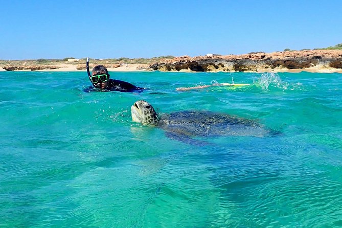 Turtle Tour - Ningaloo Reef Half Day Sea Kayak and Snorkel Tour - Getting comfortable on the water