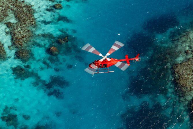 Ultimate Great Barrier Reef and Rainforest 45-minute Helicopter Tour - Key points to know before booking