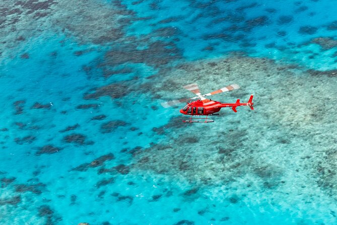 Ultimate Great Barrier Reef and Rainforest 45-minute Helicopter Tour - Why this flight gives you a fuller view of Cairns