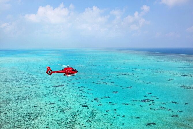 Ultimate Great Barrier Reef and Rainforest 45-minute Helicopter Tour - What the 45 minutes feel like