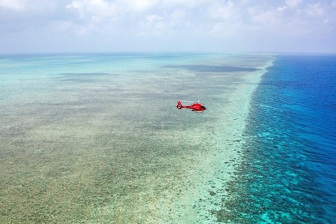 Ultimate Great Barrier Reef and Rainforest 45-minute Helicopter Tour - Is $451.29 good value?