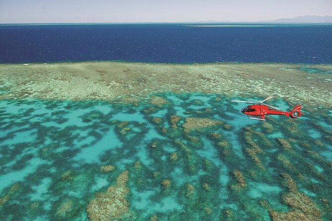Ultimate Great Barrier Reef and Rainforest 45-minute Helicopter Tour - Weather, cancellations, and schedule planning