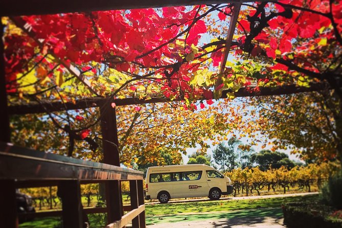 Ultimate Swan Valley Food and Wine Day Trip from Perth - How the guides shape the day