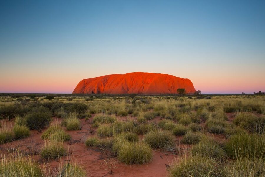 Uluru 1.5-Hour Sunset Tour with Sparkling Wine & Cheeseboard - Who will enjoy this 90-minute outing?