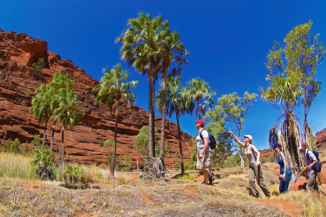 Uluru (Ayers Rock) Sunset + Outback Barbecue Dinner & Star Talk - Where expectations need adjusting