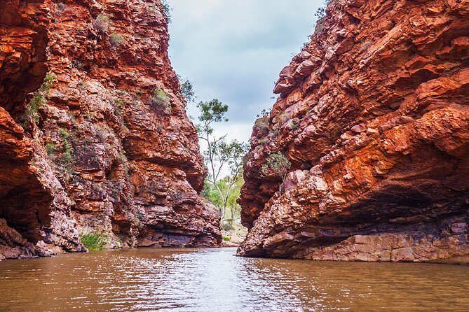 Uluru (Ayers Rock) to Alice Springs One-Way Shuttle - Is the $185.77 fare good value?